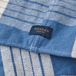 Surchemise en twill brossé Denim Checks - Vue détail 2 / 7