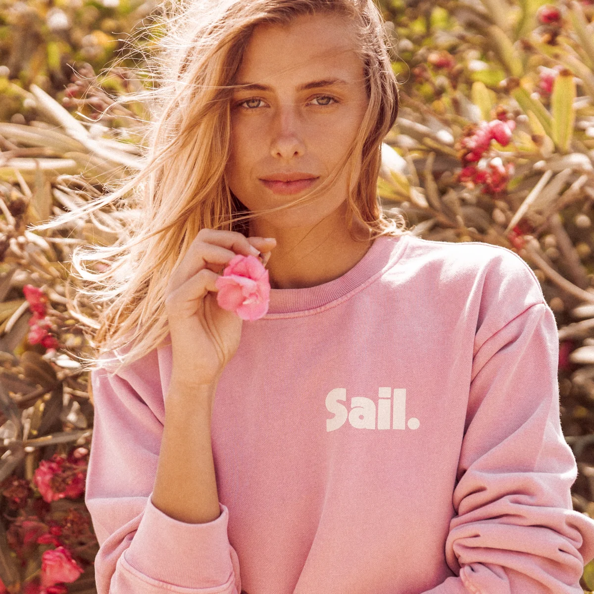 Sweatshirt Sail